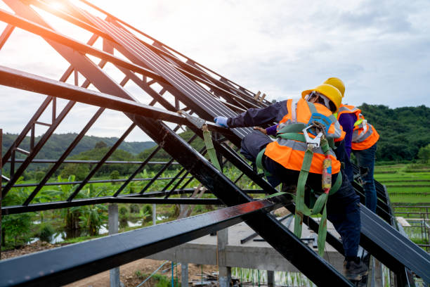 Best Roof Gutter Cleaning  in Rancho Alegre, TX