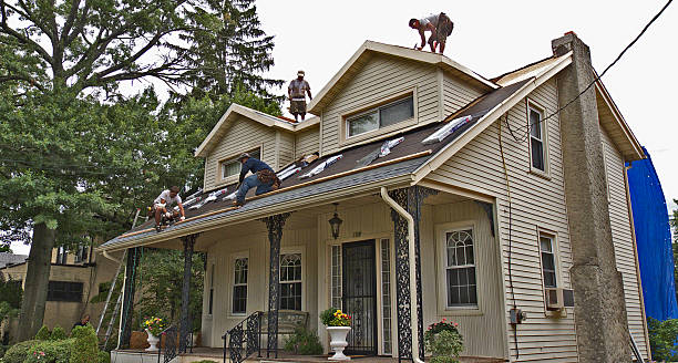 Best Residential Roofing Contractor  in Rancho Alegre, TX