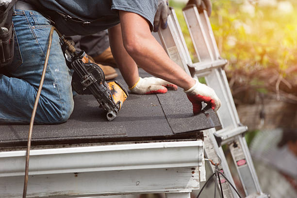 Best Commercial Roofing Services  in Rancho Alegre, TX