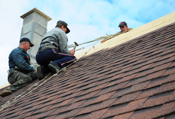 Quick and Trustworthy Emergency Roof Repair Services in Rancho Alegre, TX